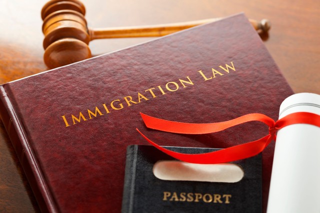 Immigration law book with a gavel and a passport